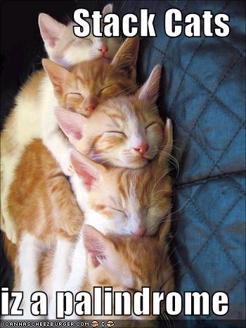 Stack Cats